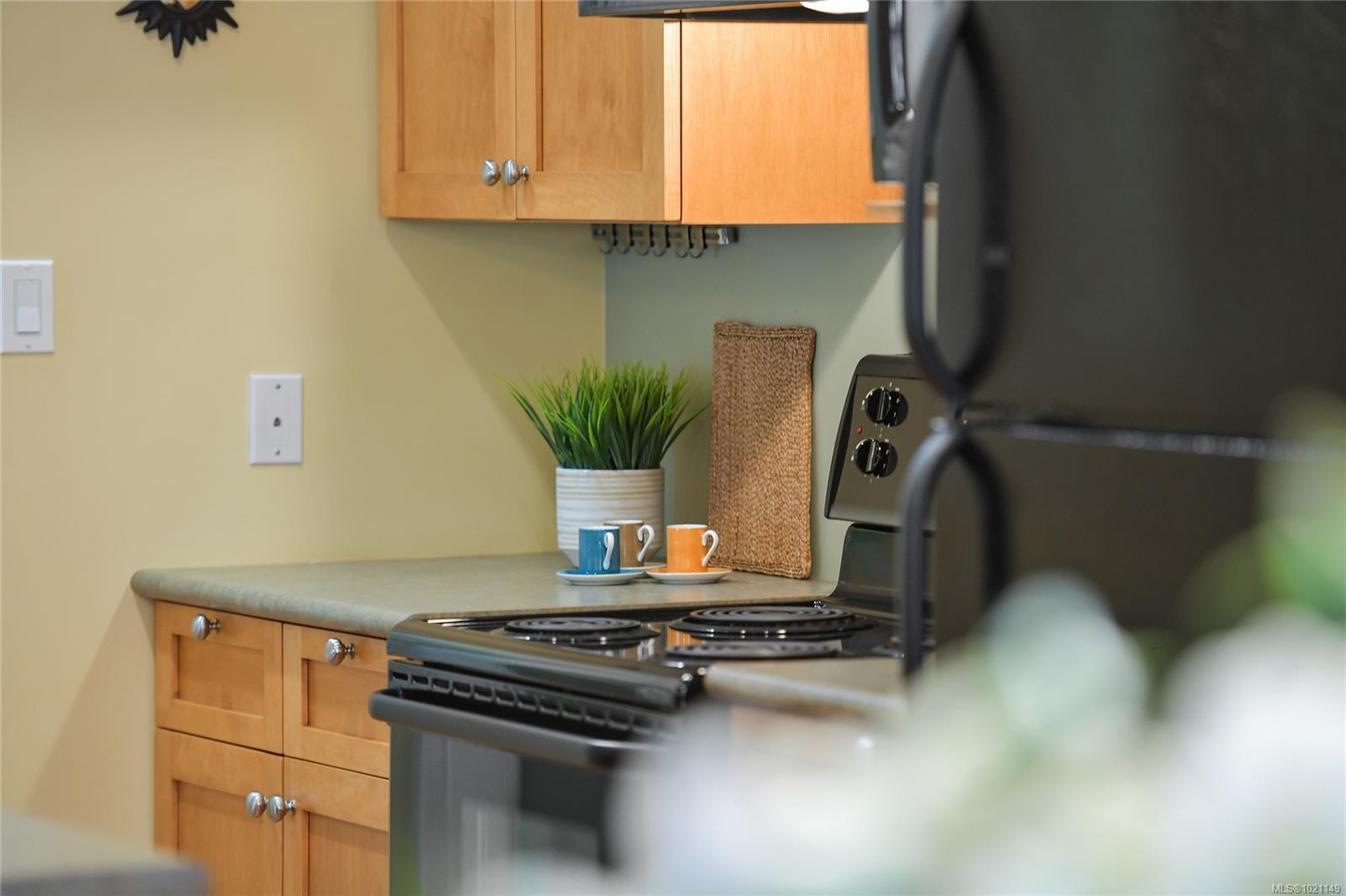 1-1515 Camosun St, Victoria, BC