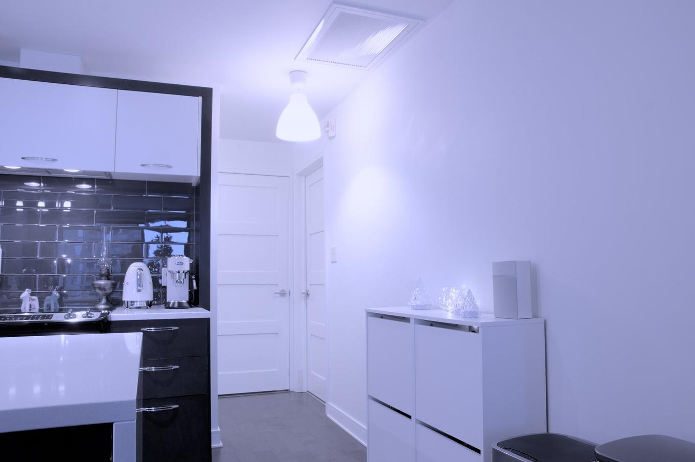 Corridor - 1610-199 Rue De La Rotonde, Montréal (Verdun/Île-Des-Soeurs), QC - Indoor