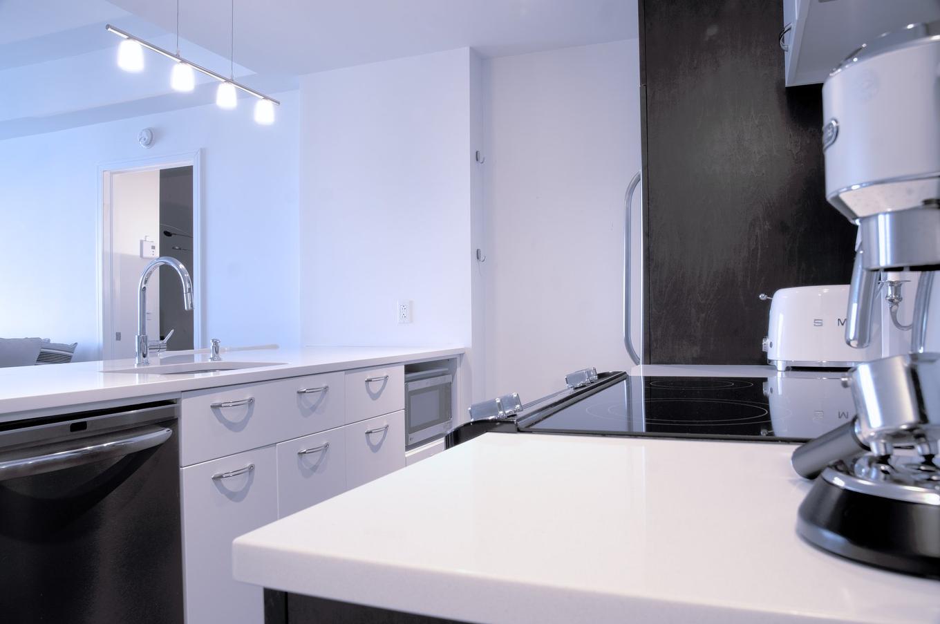 Cuisine - 1610-199 Rue De La Rotonde, Montréal (Verdun/Île-Des-Soeurs), QC - Indoor Photo Showing Kitchen