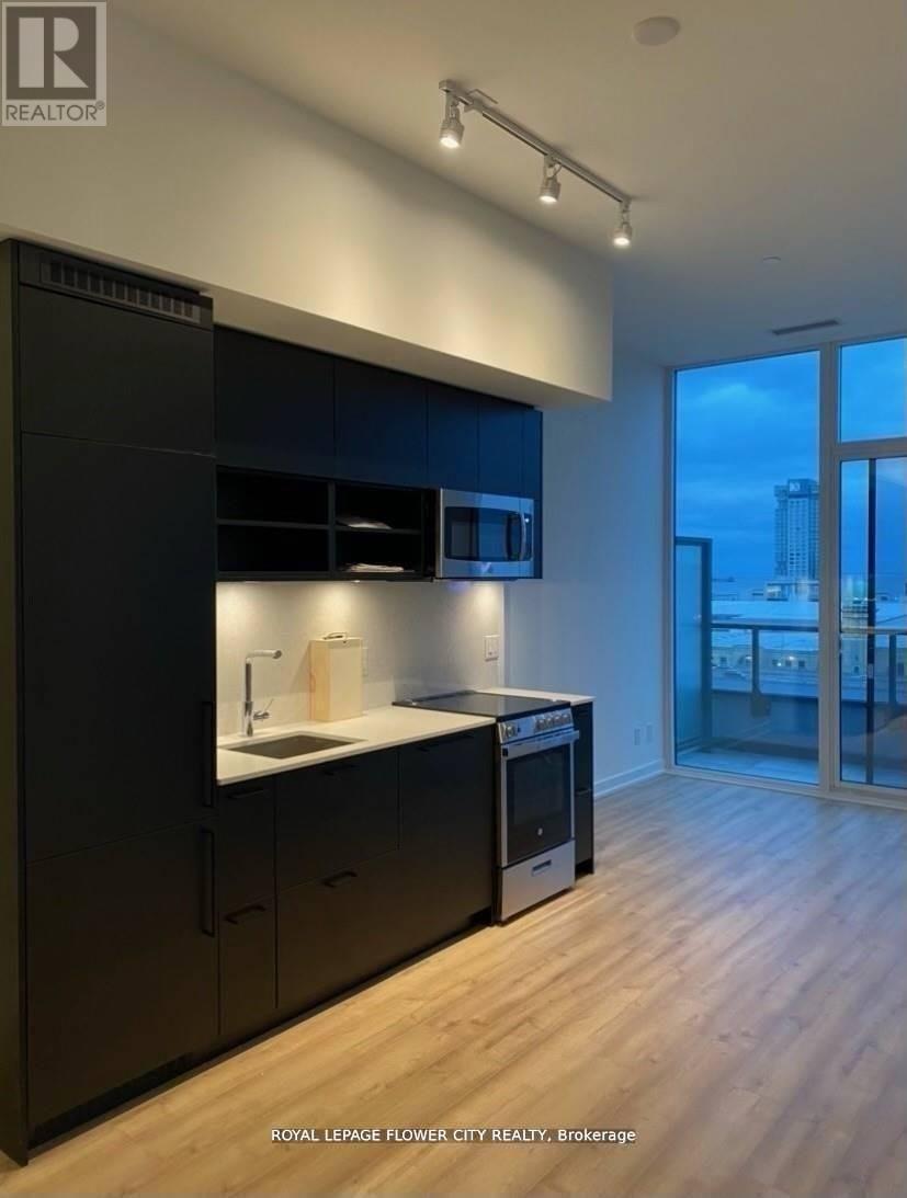 813 - 135 East Liberty Street, Toronto, ON - Indoor Photo Showing Kitchen