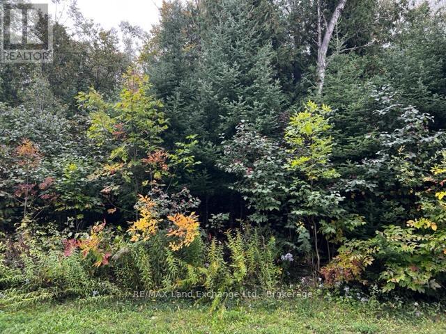 4 Shore Road, Saugeen Shores, ON