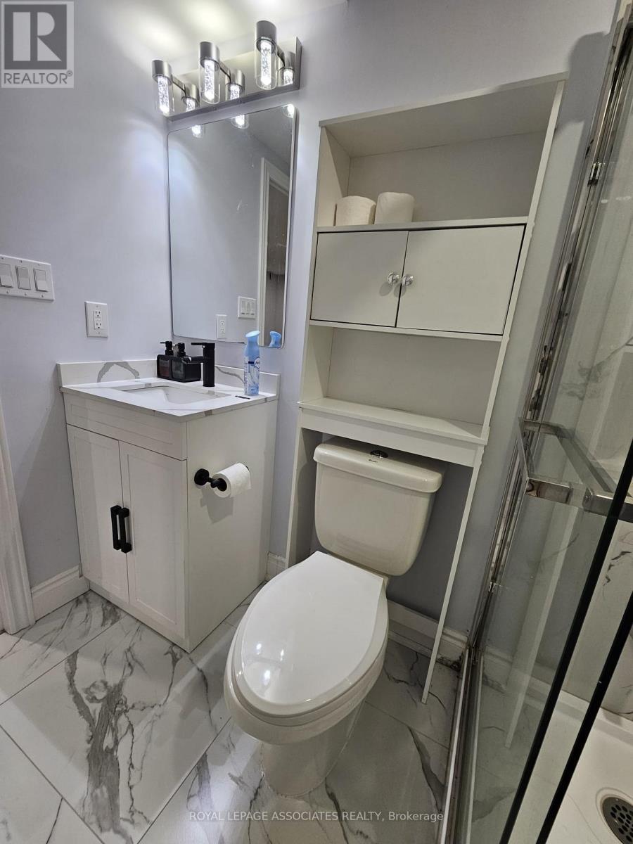 Bsmt - 131 Lloyd Sanderson Drive, Brampton, ON - Indoor Photo Showing Bathroom