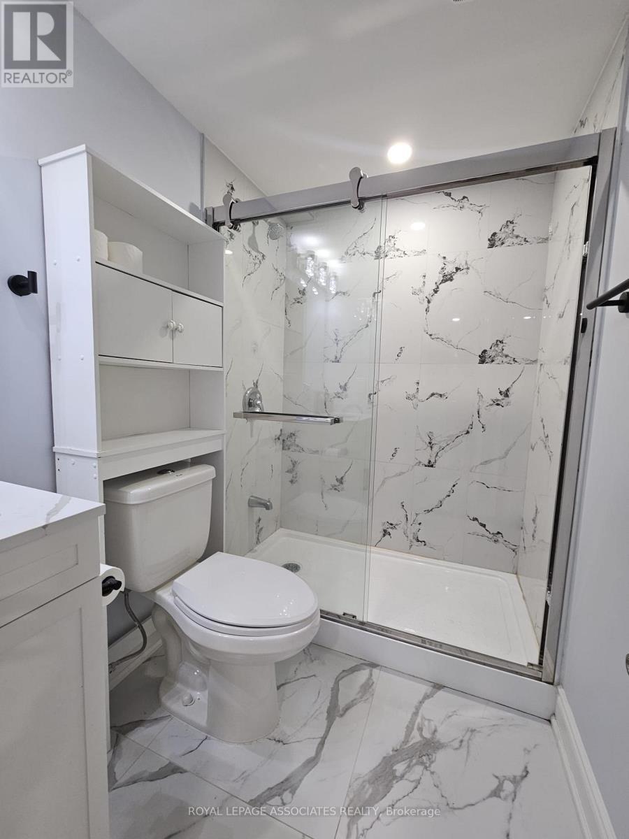 Bsmt - 131 Lloyd Sanderson Drive, Brampton, ON - Indoor Photo Showing Bathroom