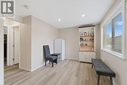 Basement family room -