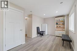 Basement family room -