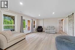 Basement family room -