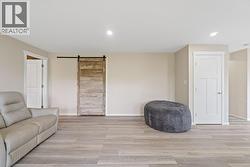 Basement family room -