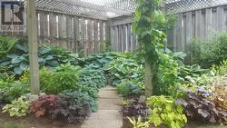 Healthy and Luscious gardens -