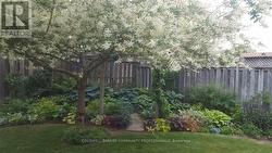 Healthy and Luscious gardens -