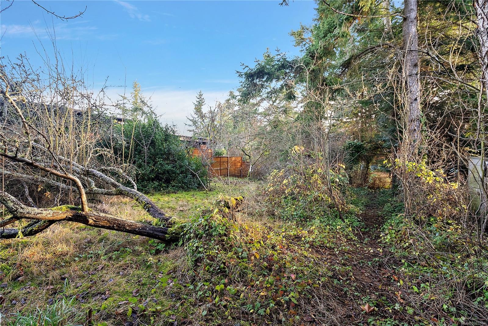 10211 Resthaven Dr, Sidney, BC