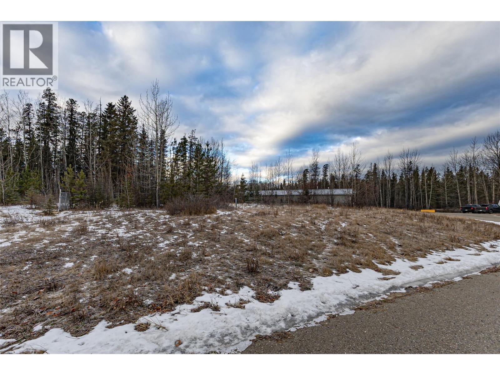 160 Meikle Avenue, Tumbler Ridge, BC