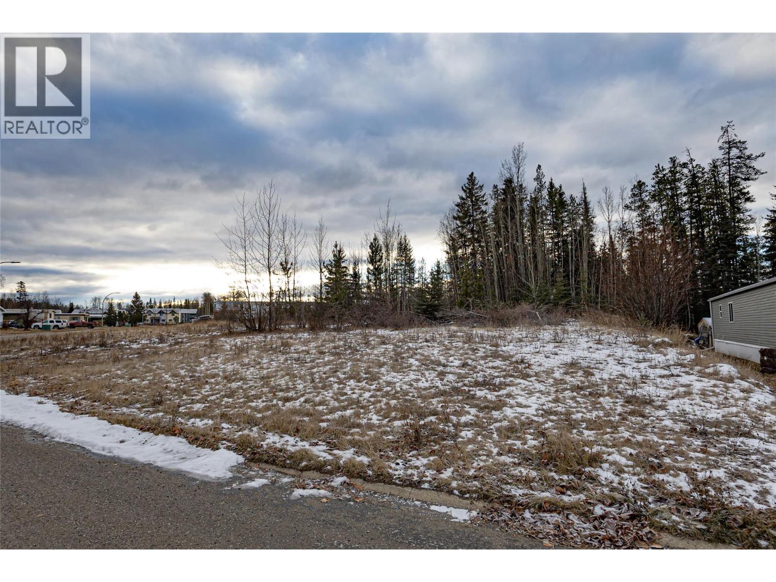 160 Meikle Avenue, Tumbler Ridge, BC