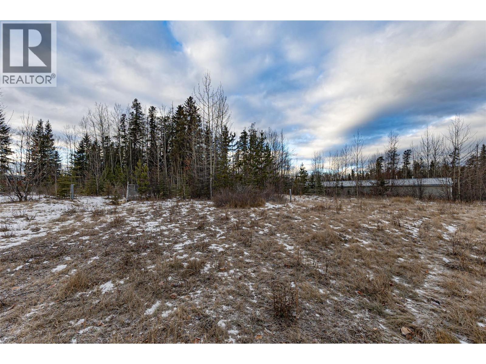 160 Meikle Avenue, Tumbler Ridge, BC