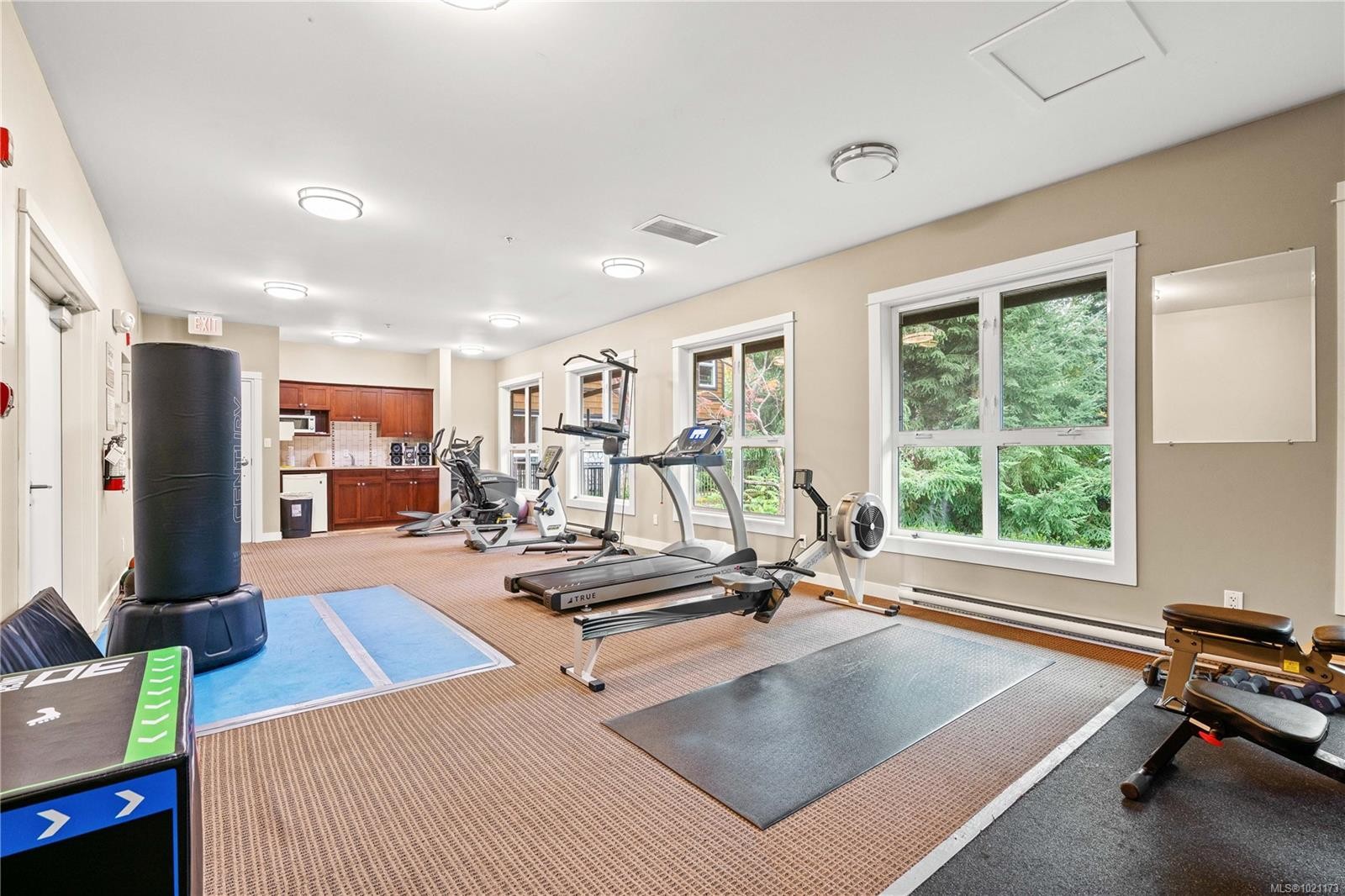 303-101 Nursery Hill Dr, View Royal, BC - Indoor Photo Showing Gym Room