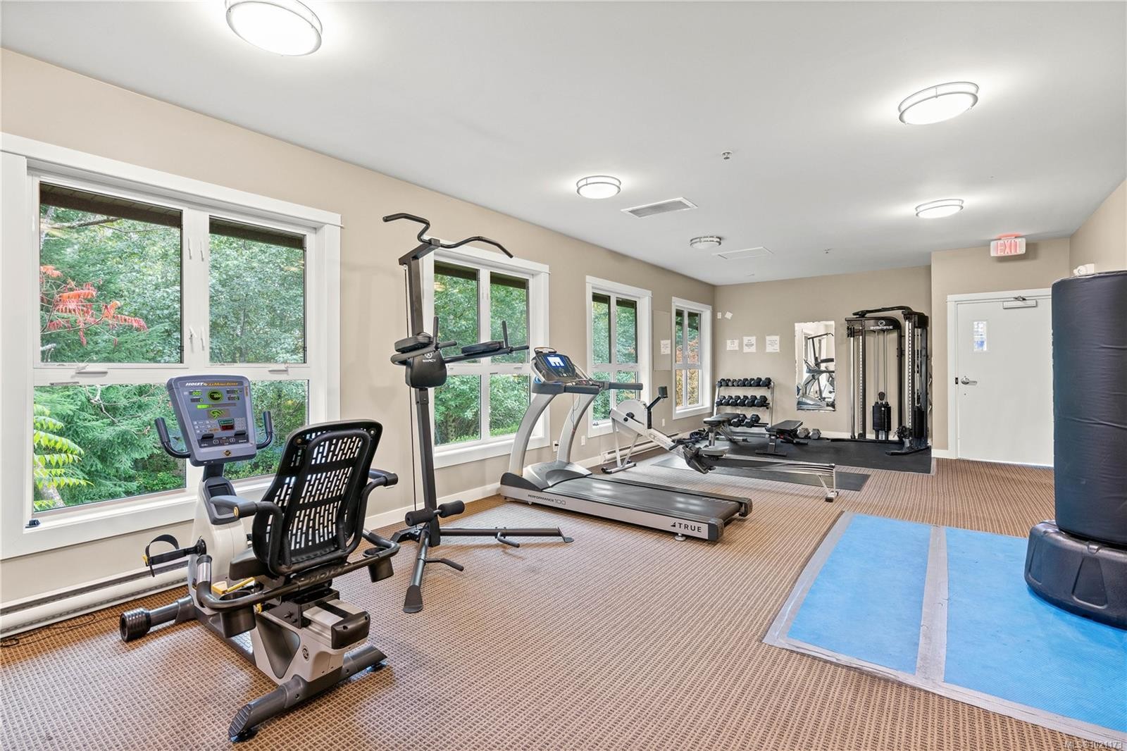 303-101 Nursery Hill Dr, View Royal, BC - Indoor Photo Showing Gym Room