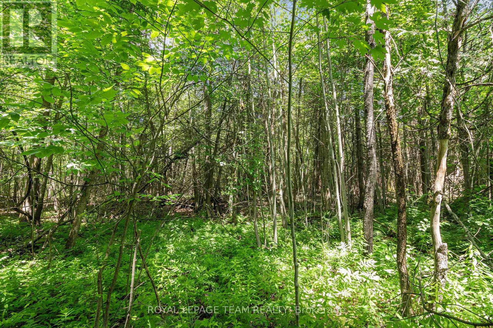 L2-3575 Paden Road, Ottawa, ON