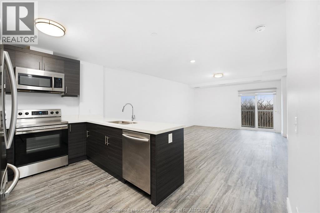 1675 Banwell Unit# 709, Windsor, ON - Indoor Photo Showing Kitchen With Double Sink With Upgraded Kitchen
