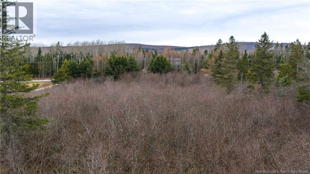 Lot 2019-1 Route 121, Bloomfield, NB