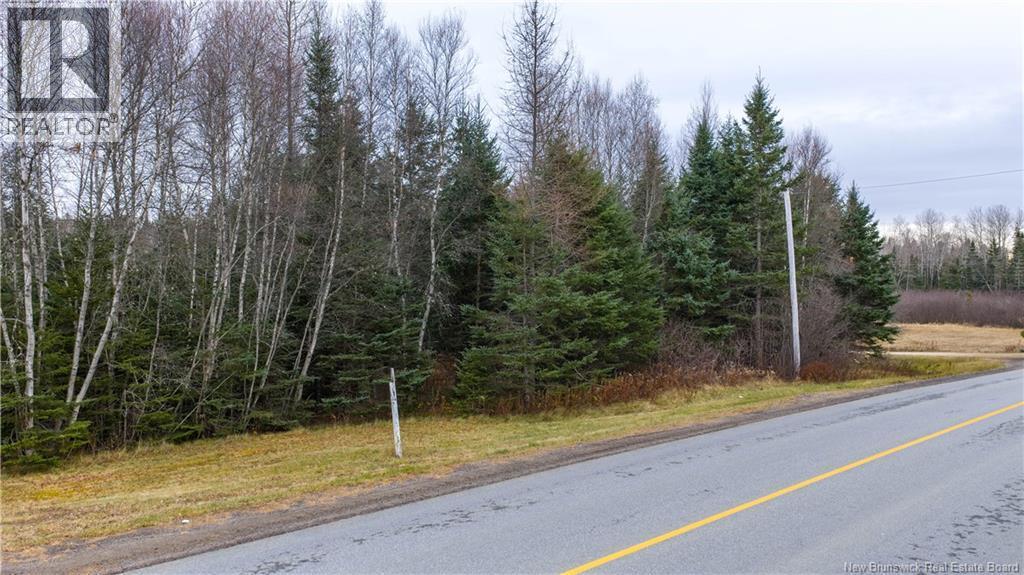 Lot 2019-1 Route 121, Bloomfield, NB