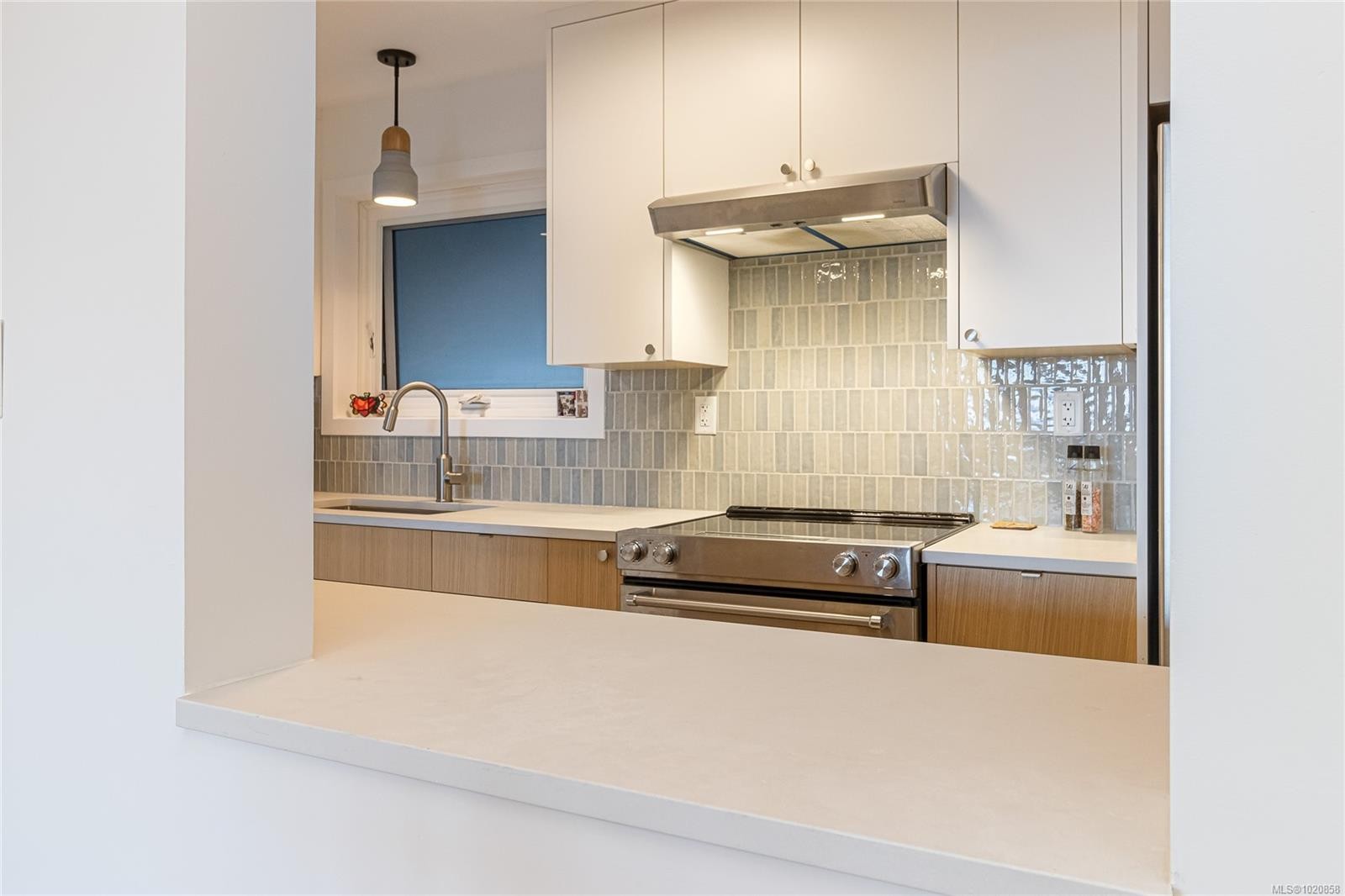 101-1540 Dallas Rd, Victoria, BC - Indoor Photo Showing Kitchen