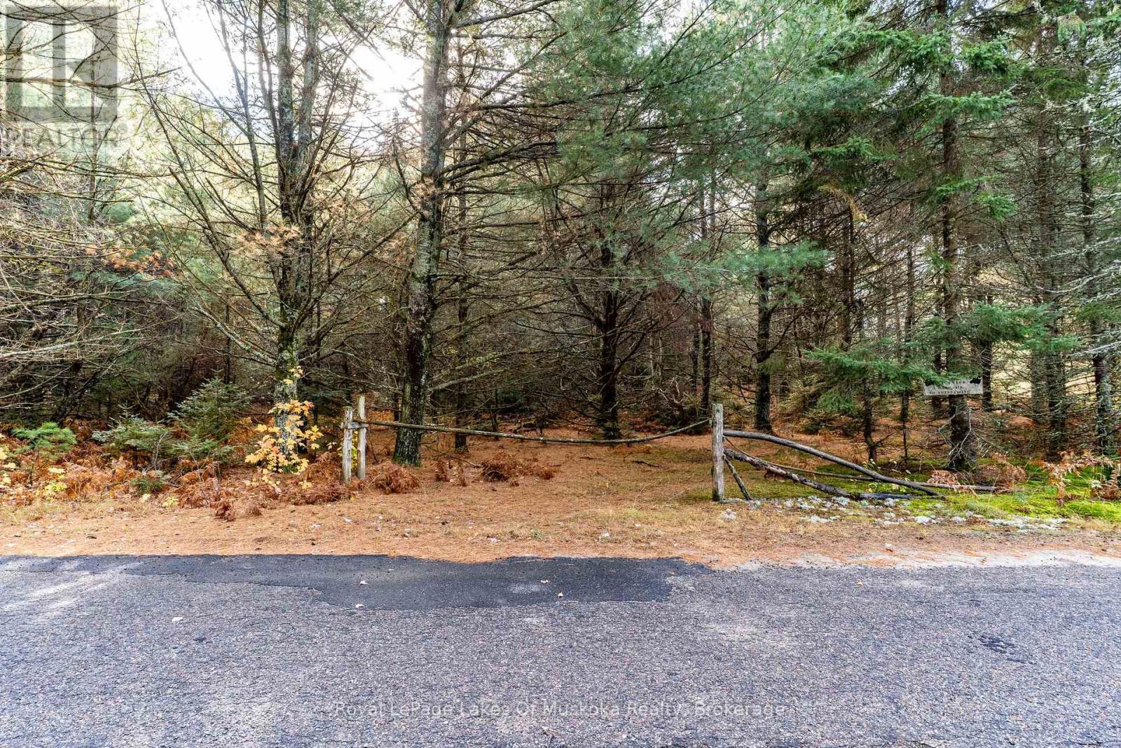 321 Cardwell Lake Road, Huntsville (Stisted), ON