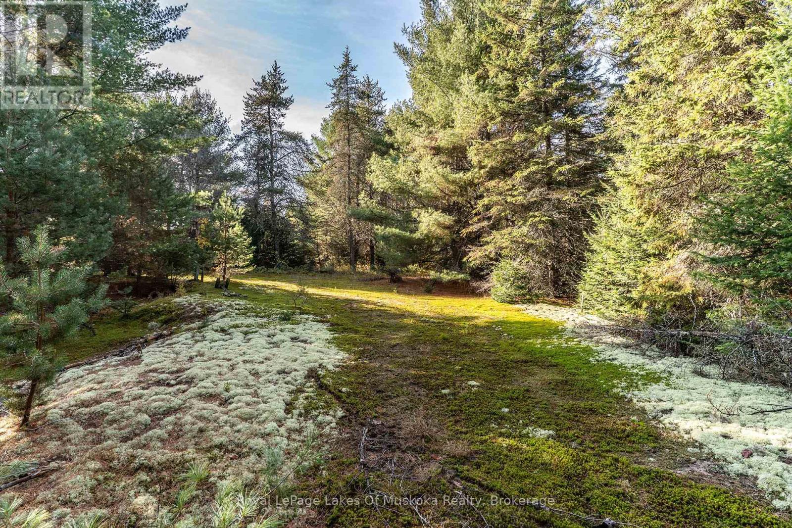 321 Cardwell Lake Road, Huntsville (Stisted), ON