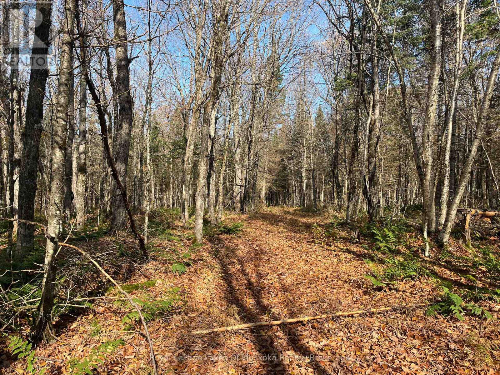 321 Cardwell Lake Road, Huntsville (Stisted), ON