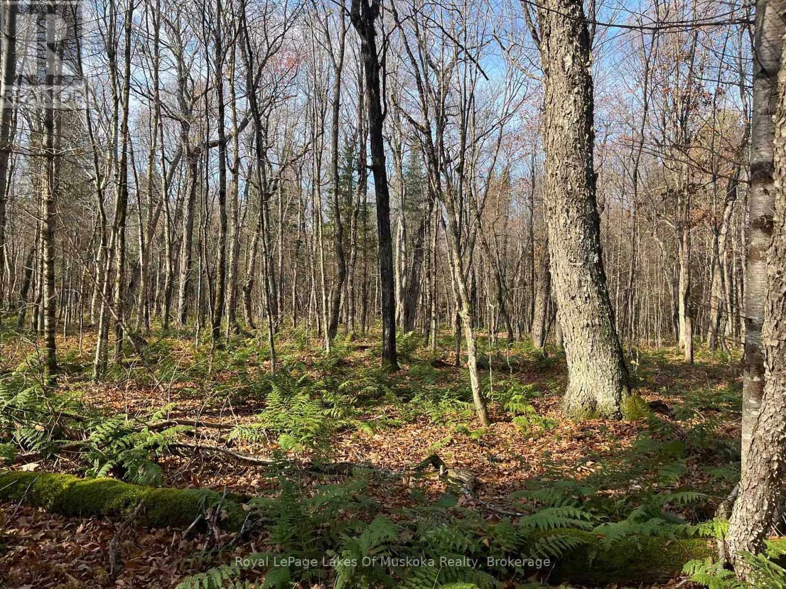 321 Cardwell Lake Road, Huntsville (Stisted), ON