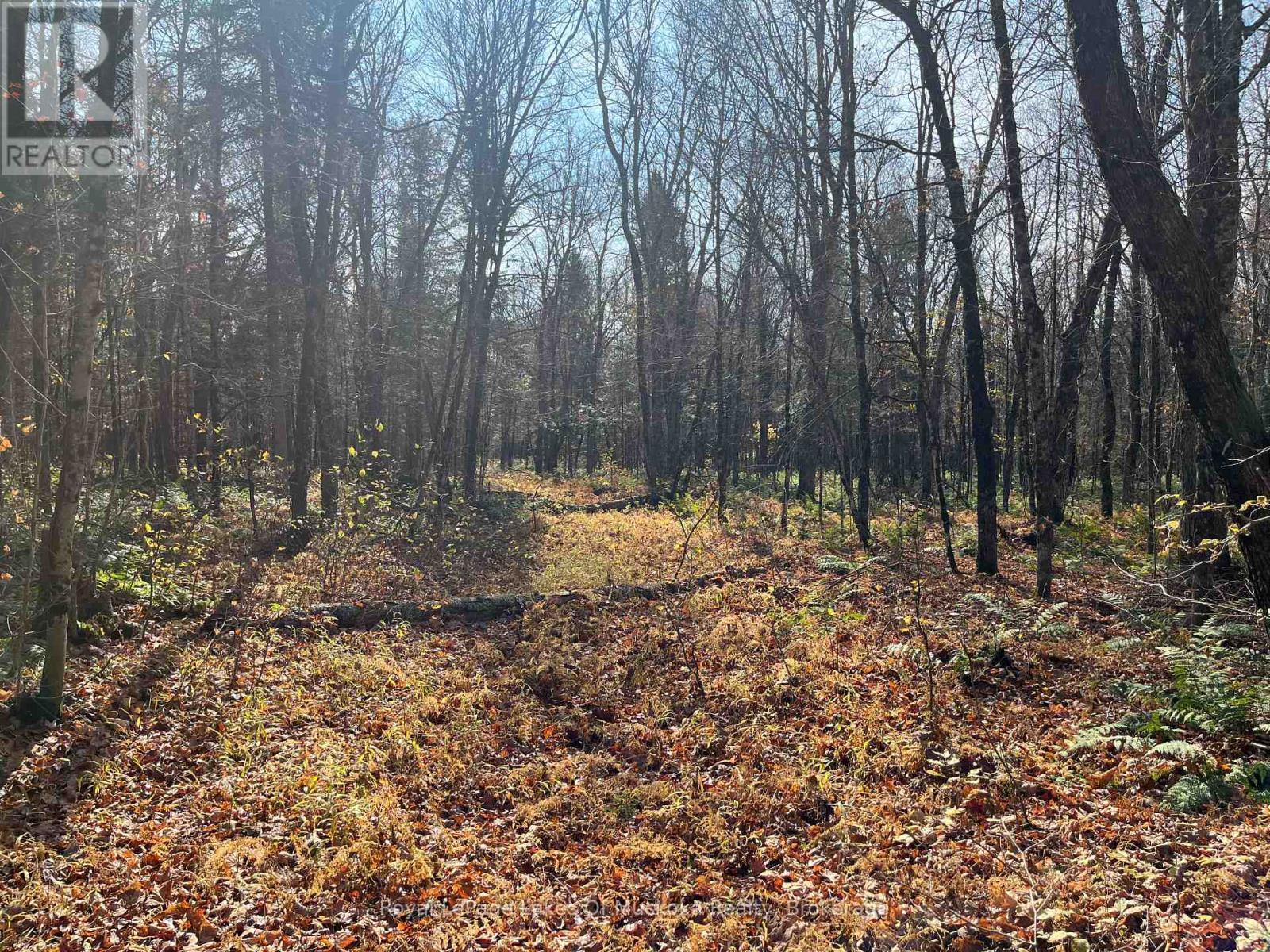 321 Cardwell Lake Road, Huntsville (Stisted), ON