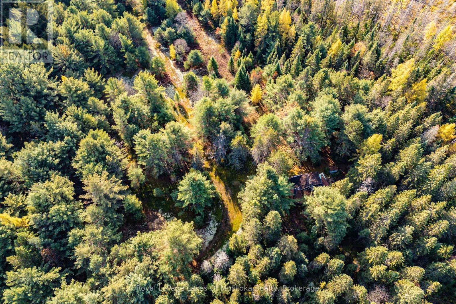 321 Cardwell Lake Road, Huntsville (Stisted), ON