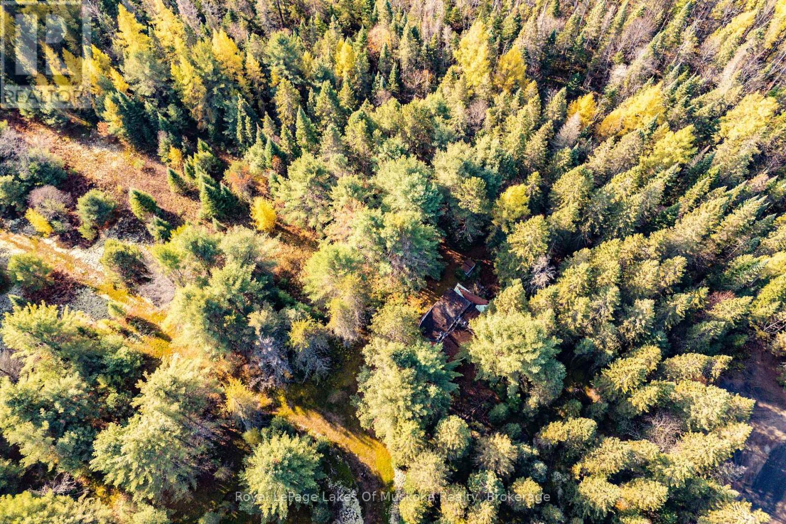 321 Cardwell Lake Road, Huntsville (Stisted), ON