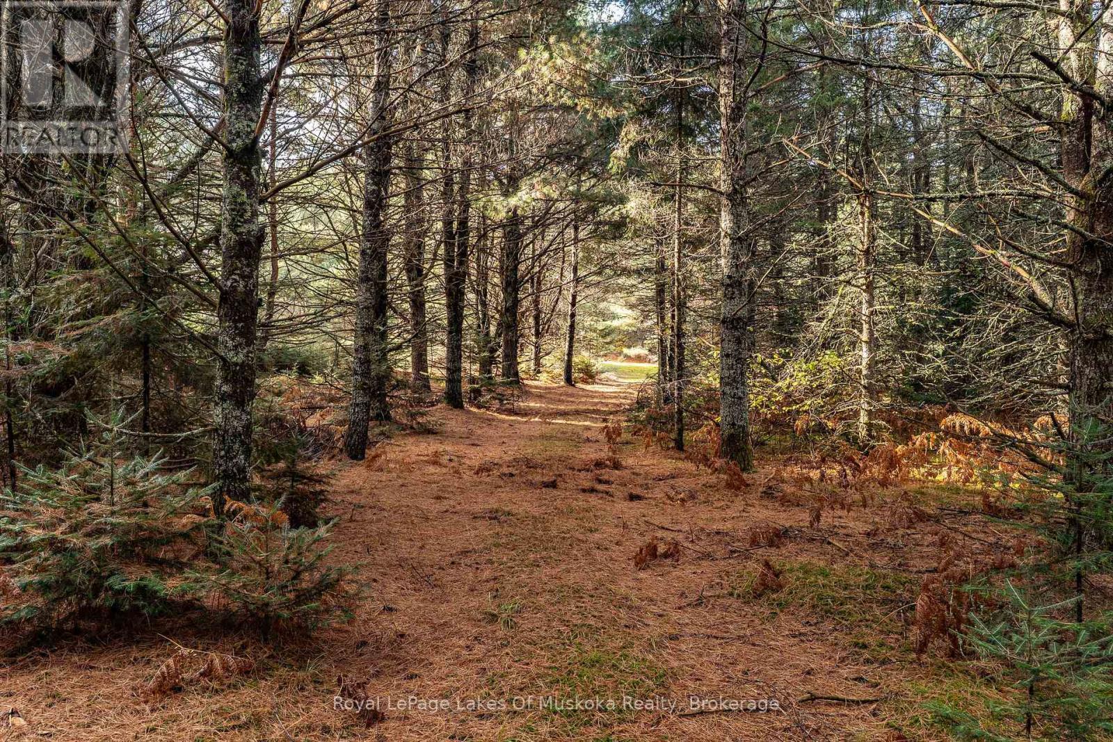 321 Cardwell Lake Road, Huntsville (Stisted), ON