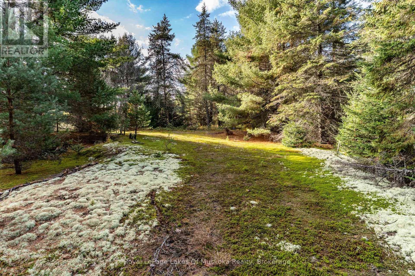 321 Cardwell Lake Road, Huntsville (Stisted), ON