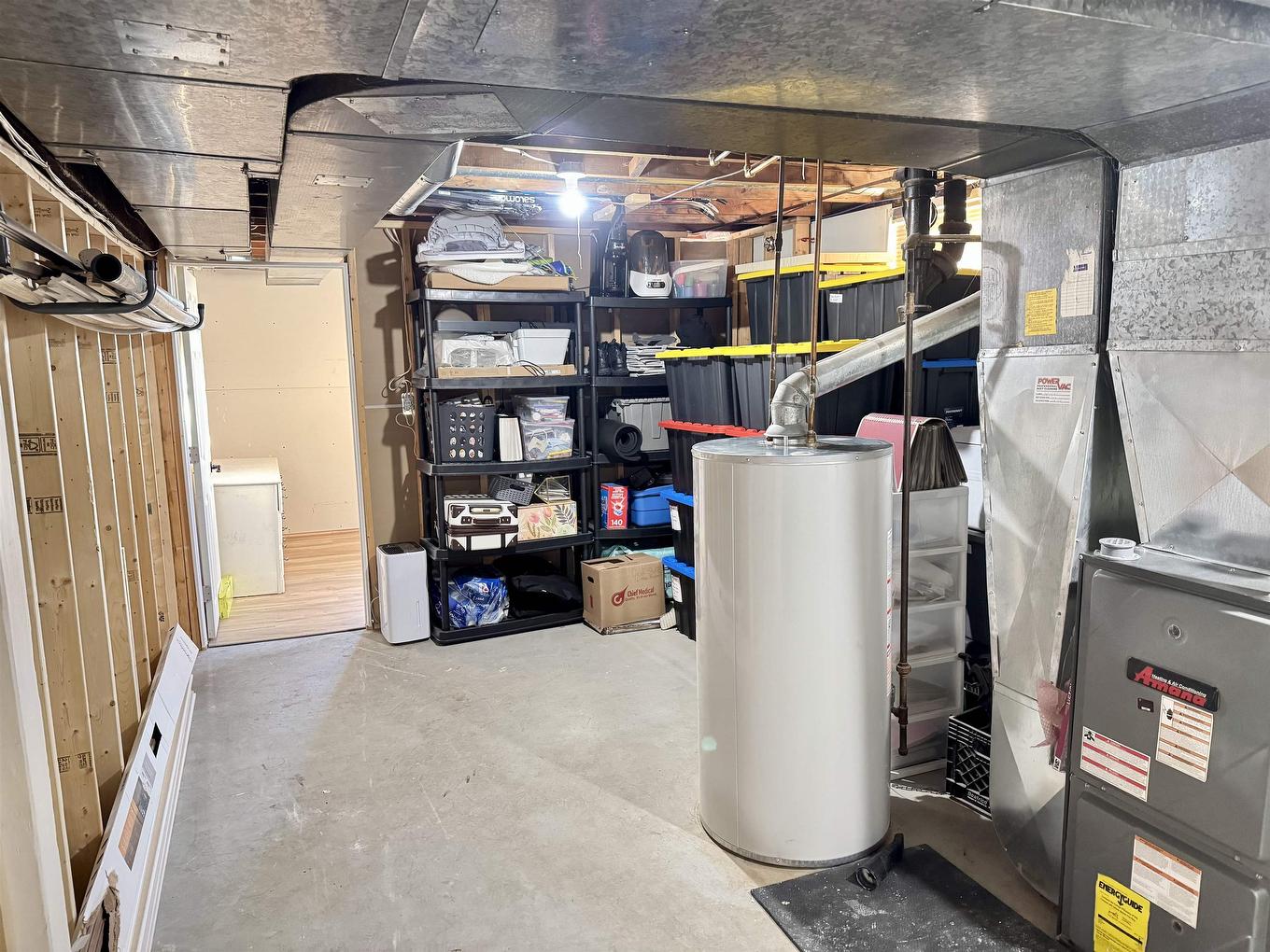 123 Begin Street W, Thunder Bay, ON - Indoor Photo Showing Basement