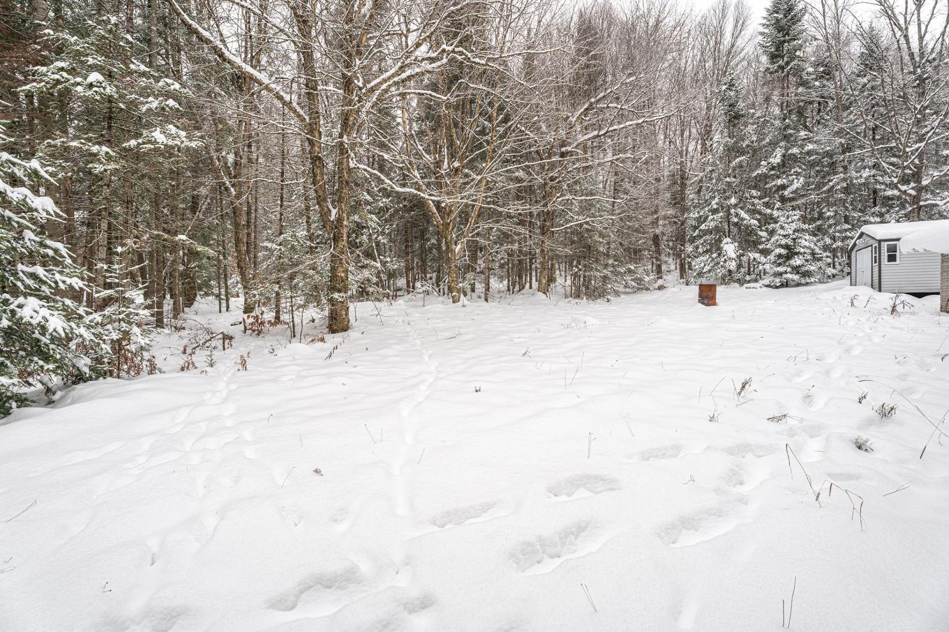 Land/Lot - 3707 Ch. Du Tour-Du-Lac, Nominingue, QC - Outdoor