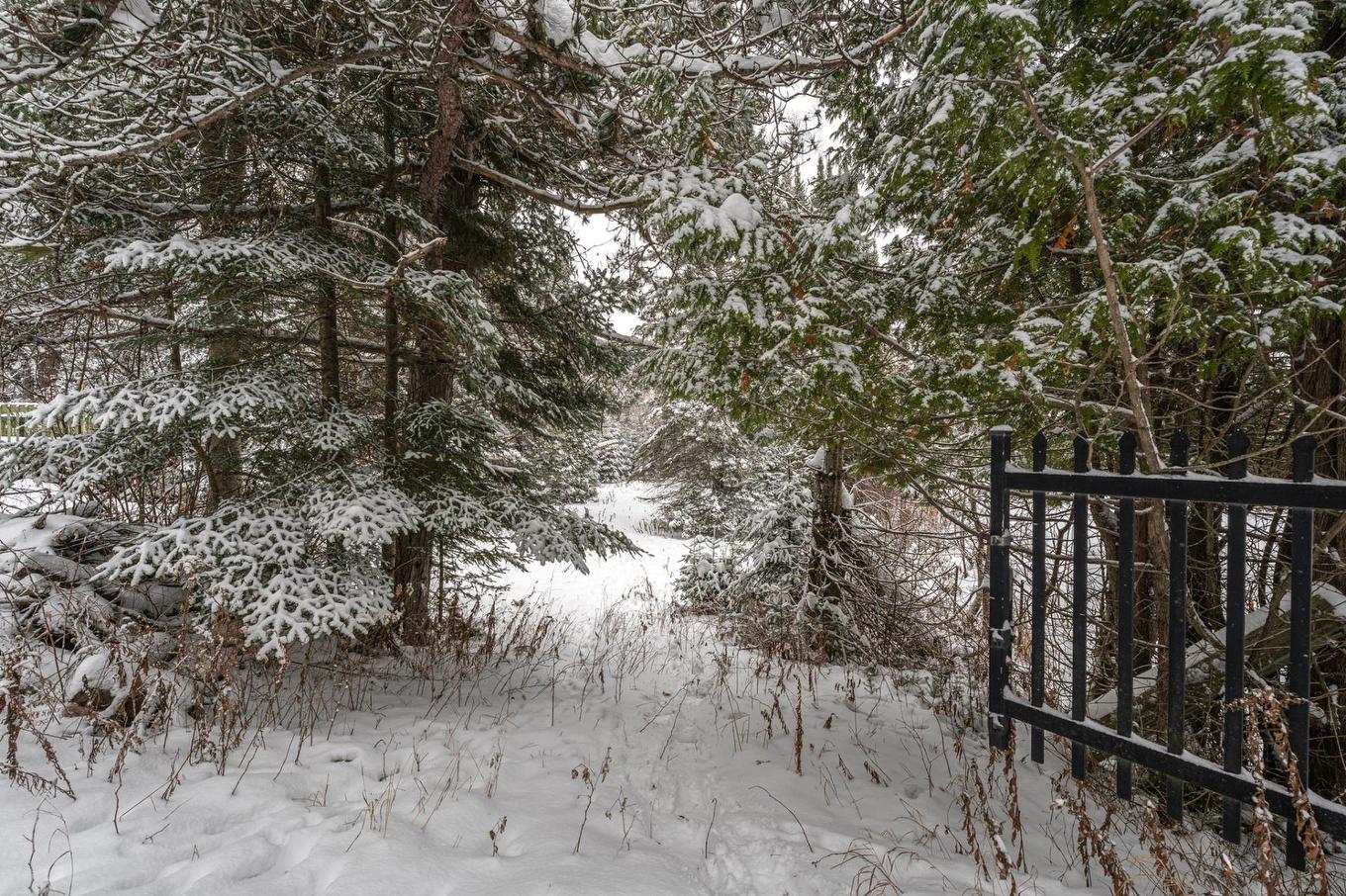 Land/Lot - 3707 Ch. Du Tour-Du-Lac, Nominingue, QC - Outdoor