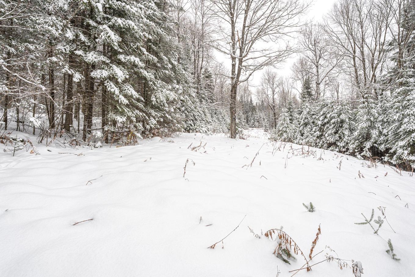 Land/Lot - 3707 Ch. Du Tour-Du-Lac, Nominingue, QC - Outdoor