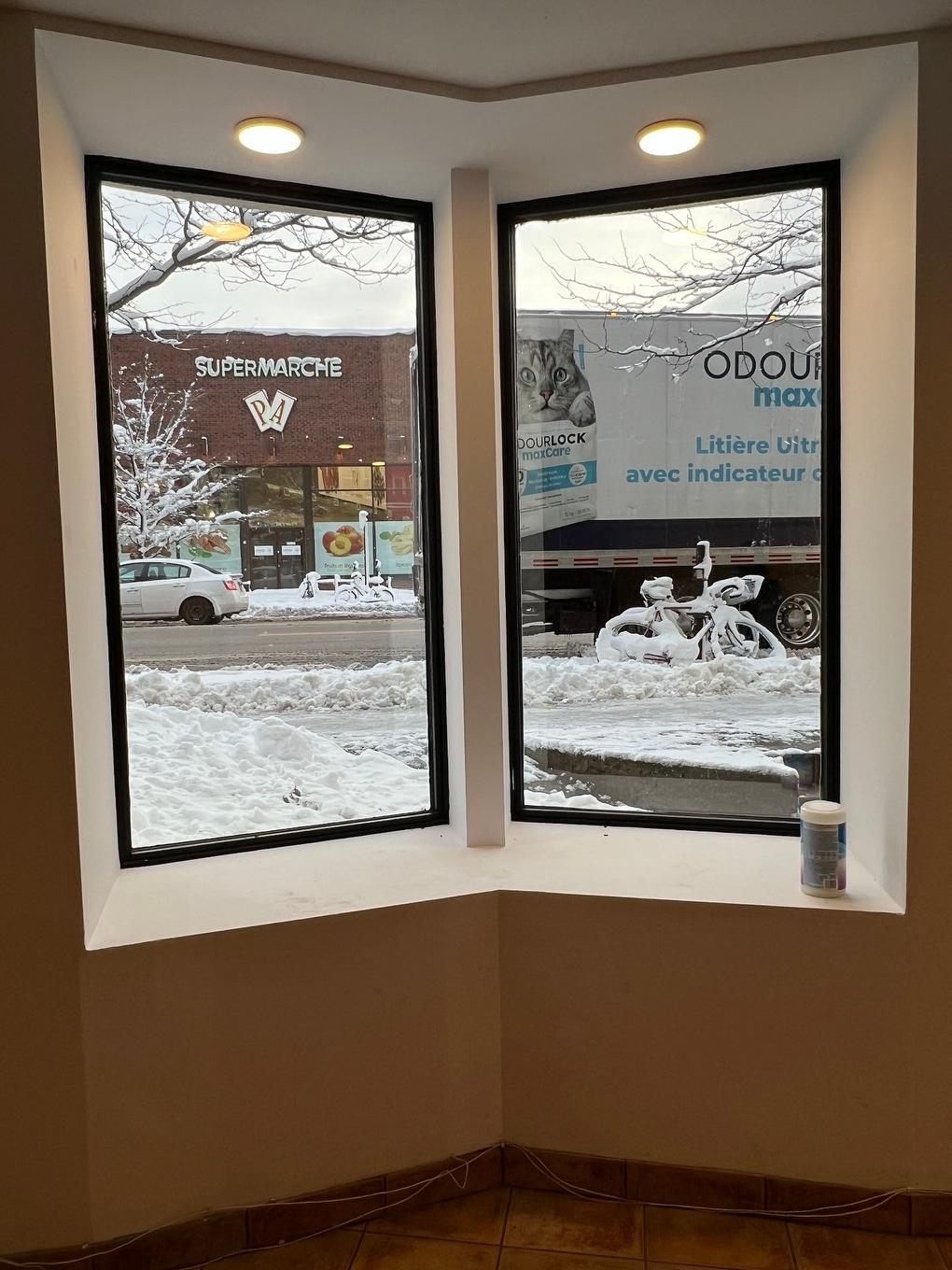 View - 5225 Av. Du Parc, Montréal (Le Plateau-Mont-Royal), QC