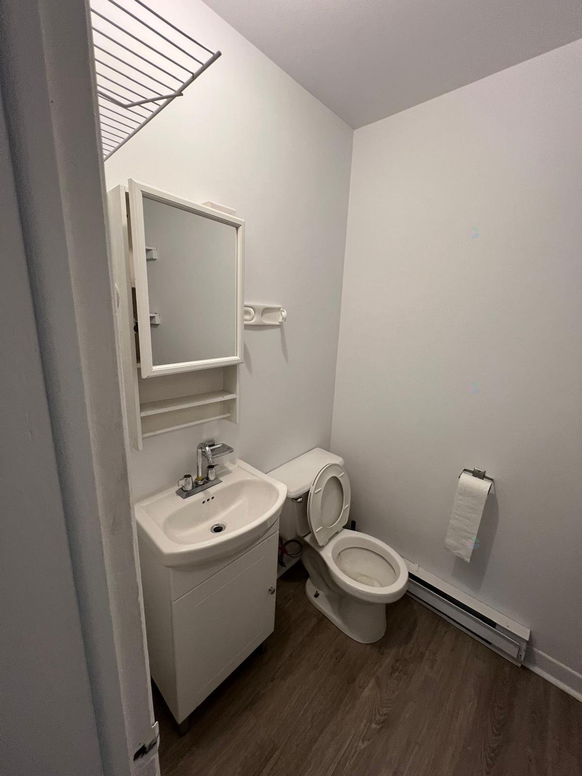 Salle de bains - 5225 Av. Du Parc, Montréal (Le Plateau-Mont-Royal), QC - Indoor Photo Showing Bathroom