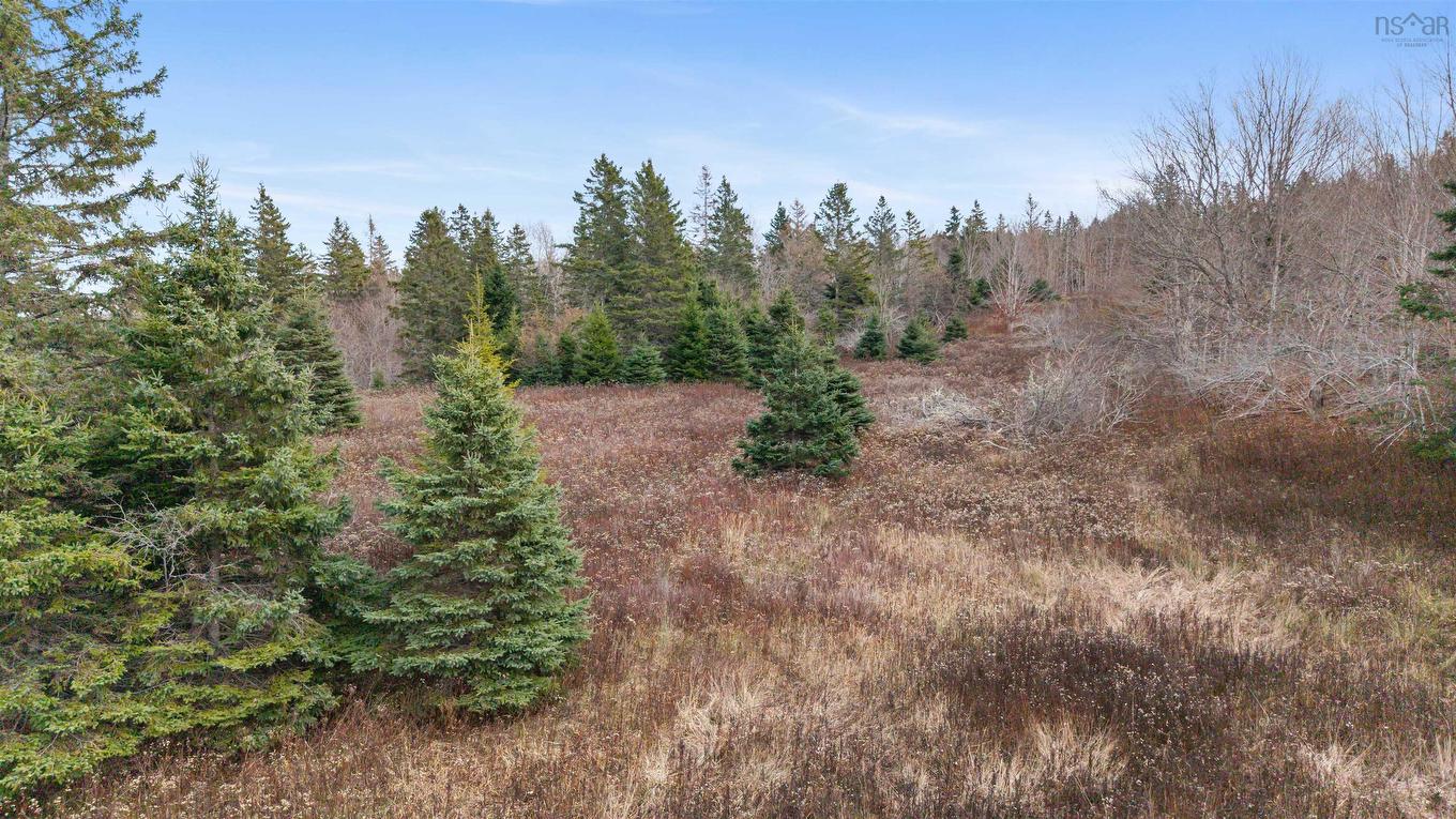 Lot 24-1 Highway 4, Mount Thom, NS