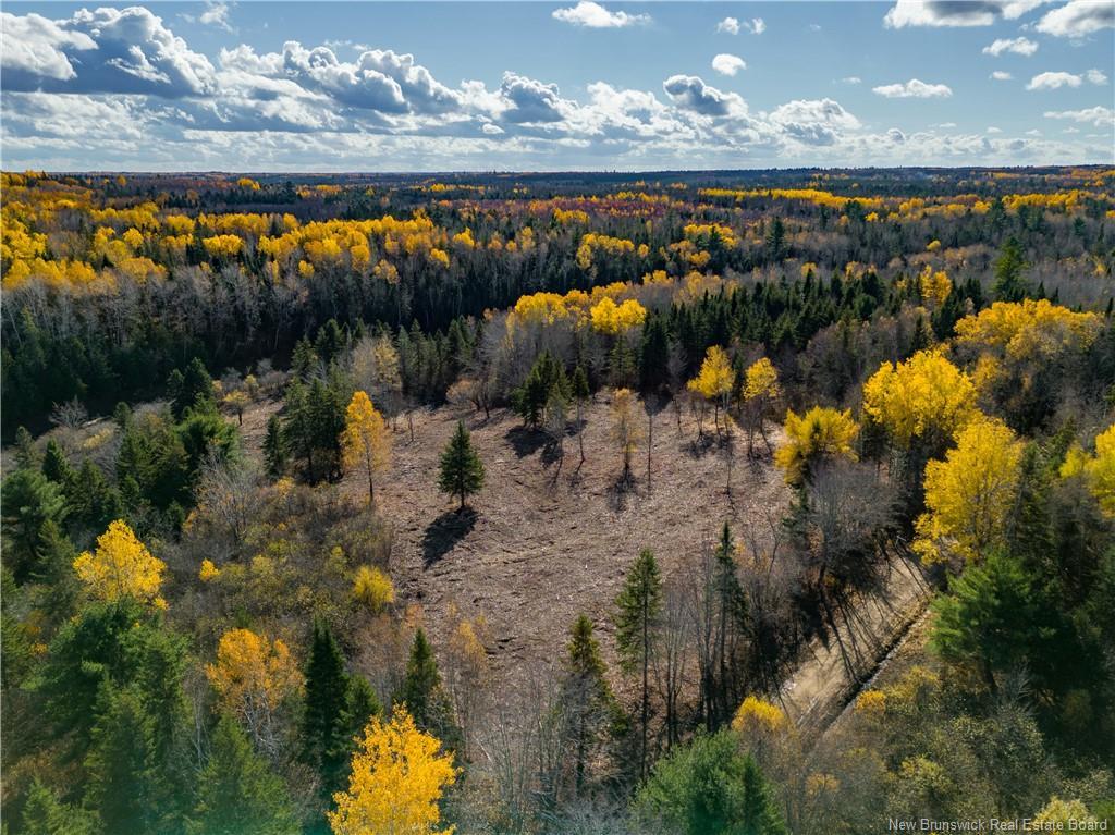 Lot B Sherwood Rd, Sainte-Marie-De-Kent, NB