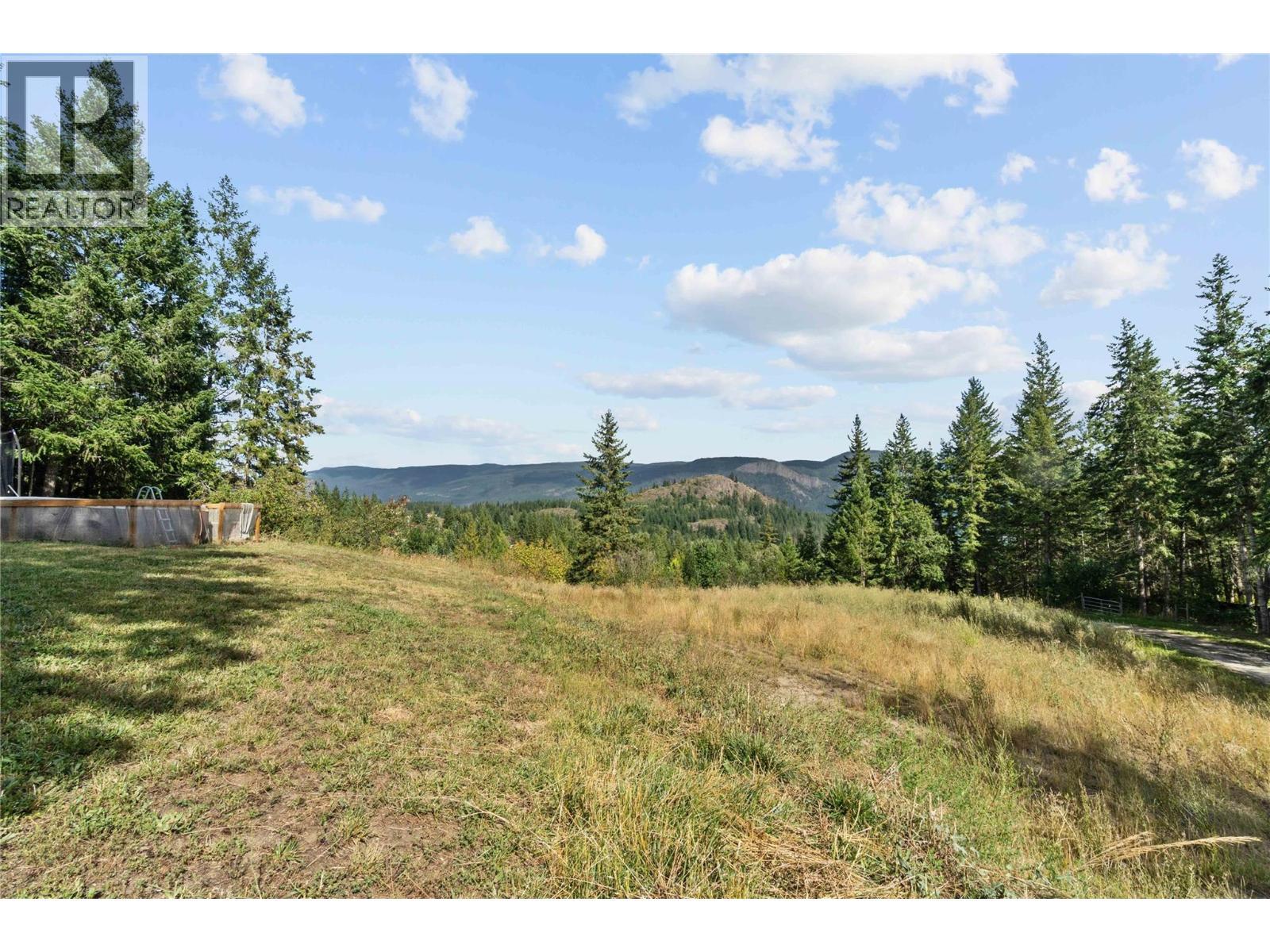 65 Furlong Road, Enderby, BC - Outdoor With View