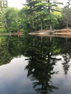 Ross Lake Public Access -