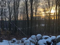Winter Glimpes of Haliburton Lake -
