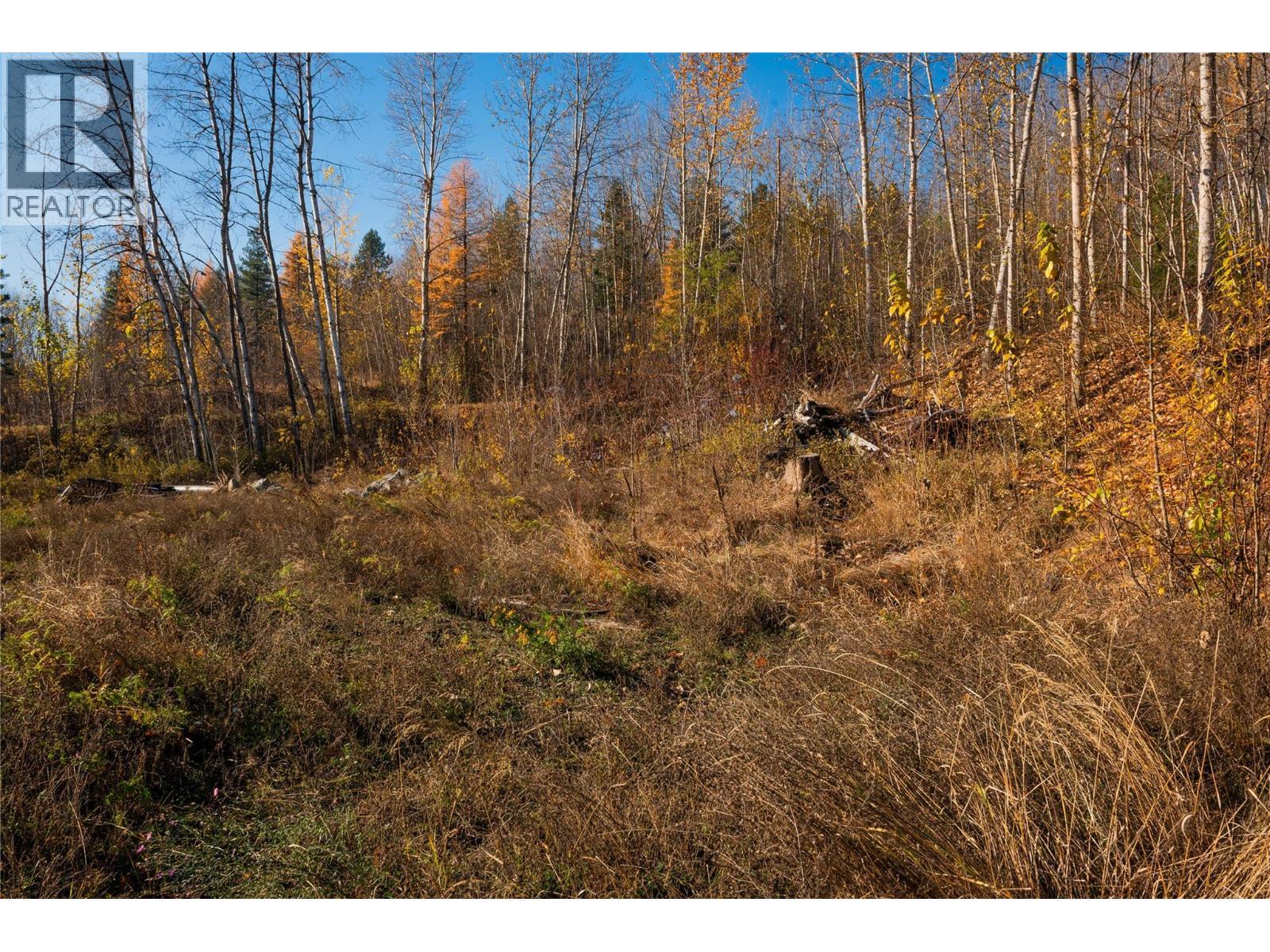 220 Whitman Way, Warfield, BC