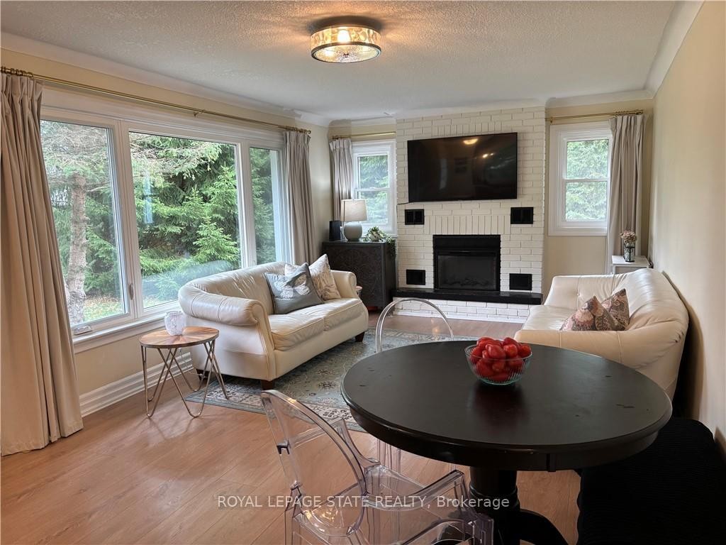 104 Diltz Road, Haldimand, ON - Indoor Photo Showing Living Room With Fireplace