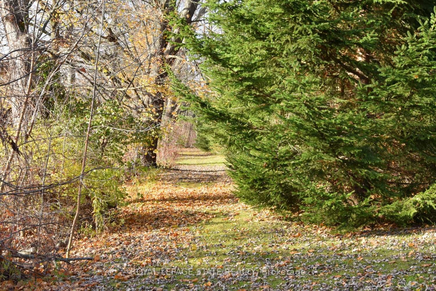 104 Diltz Road, Haldimand, ON - Outdoor