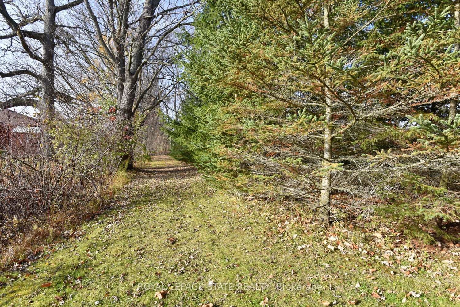 104 Diltz Road, Haldimand, ON - Outdoor