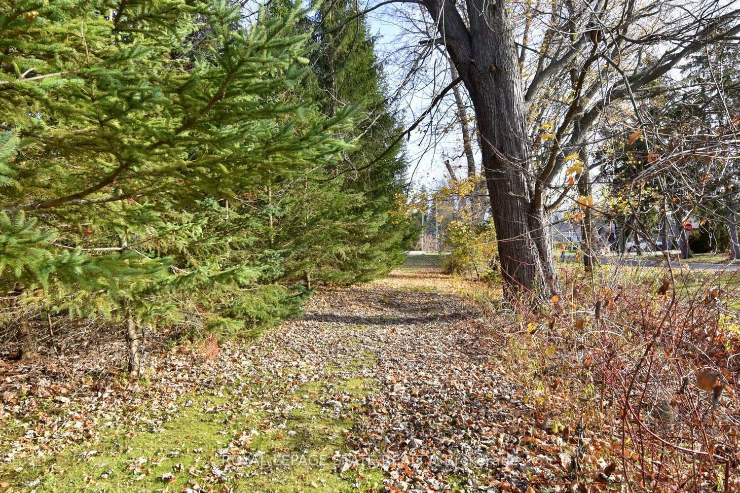 104 Diltz Road, Haldimand, ON - Outdoor