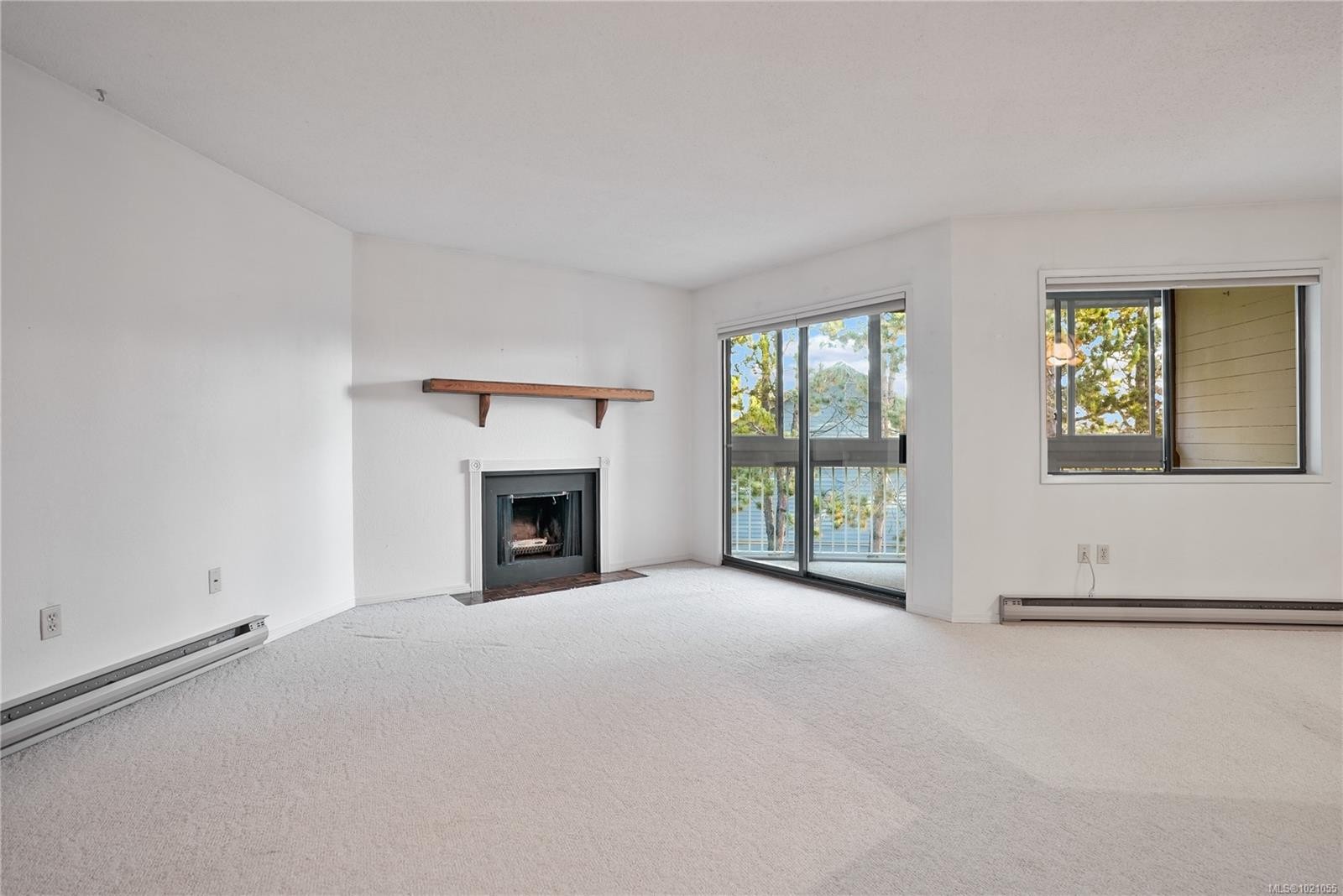 504-69 Gorge Rd West, Saanich, BC - Indoor Photo Showing Living Room With Fireplace